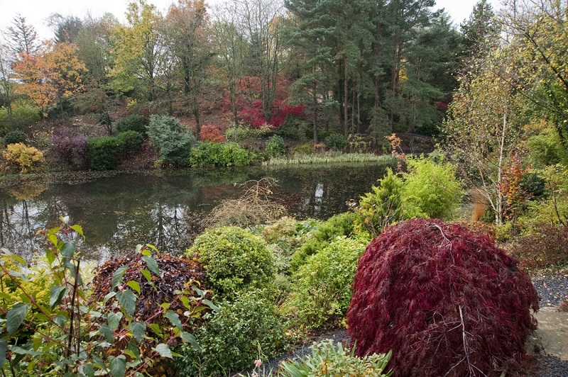 Dingle Nurseries & Garden